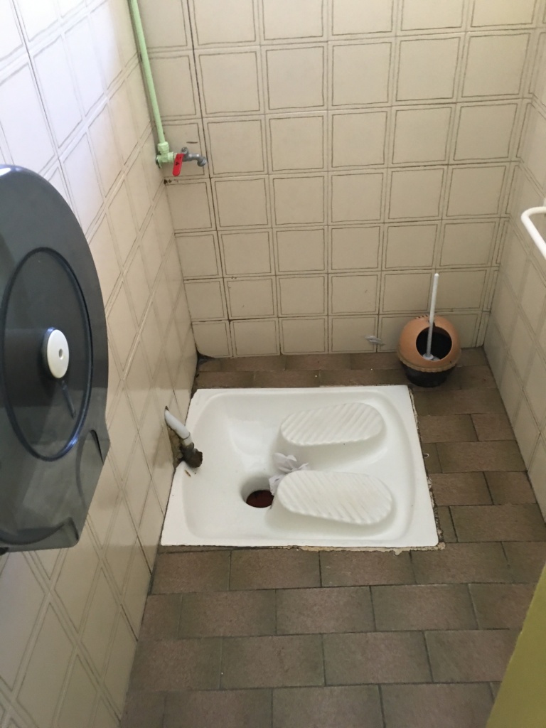 Squat Toilet in Italian Public Bathrooms