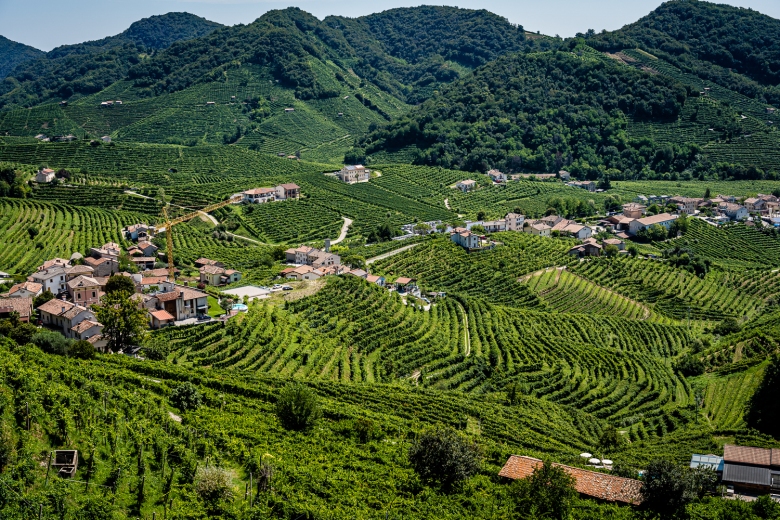 Italy Pic of the Day Prosecco Vineyard View
