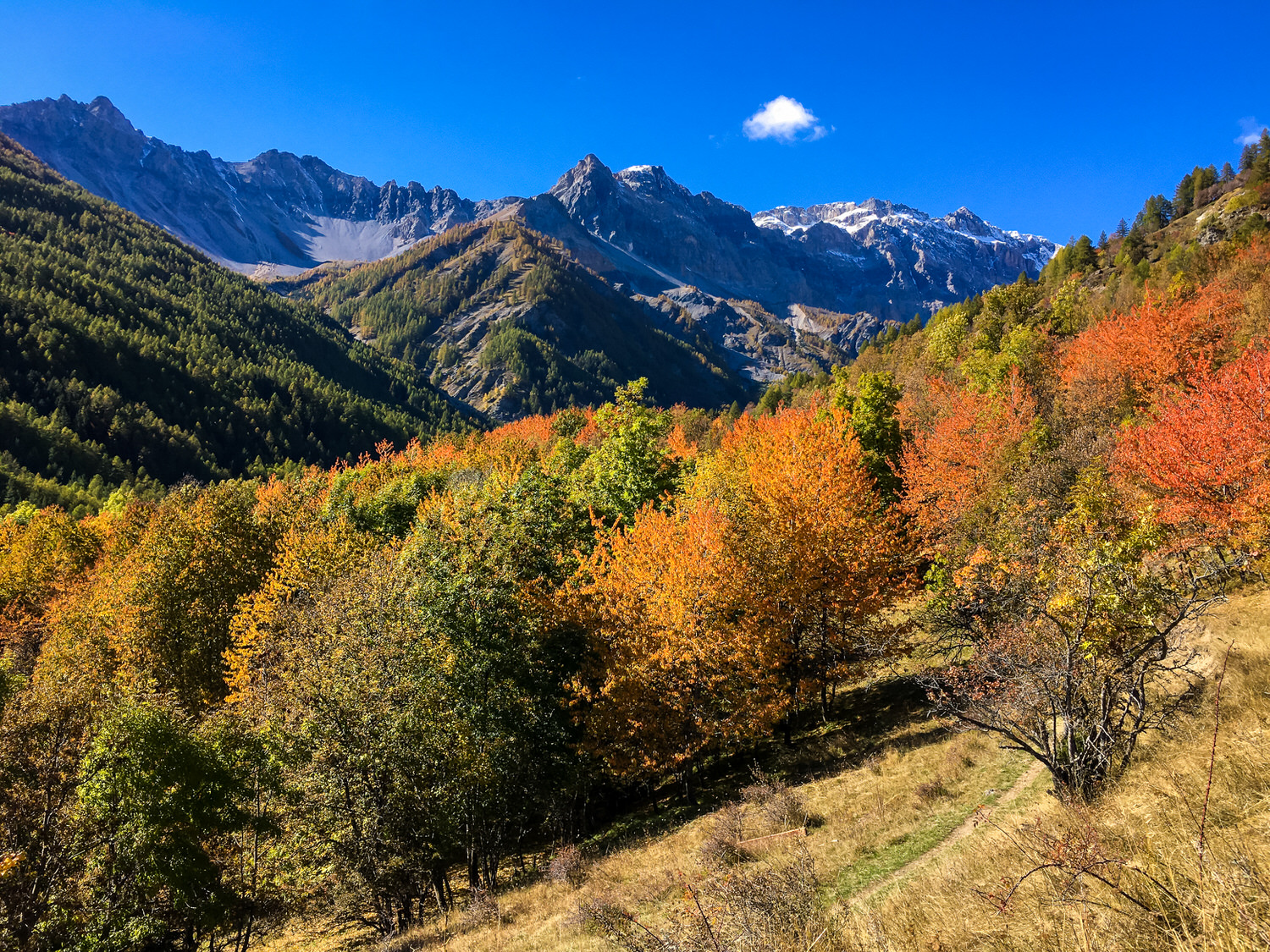 Fall colors start in the Italian Alps