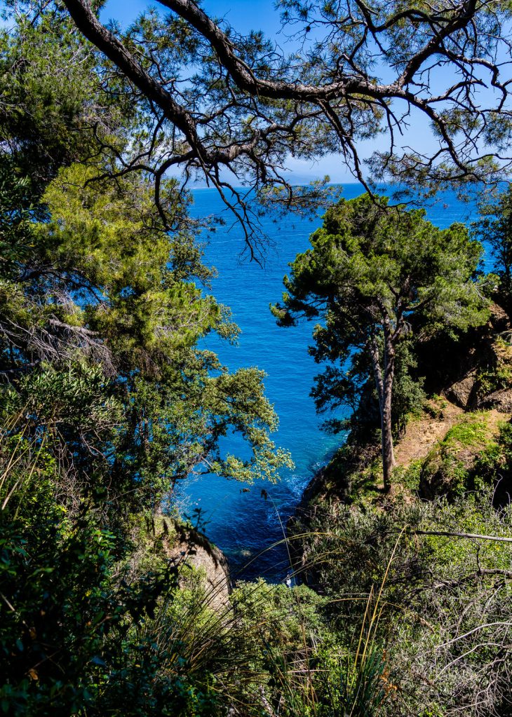 Peek-a-View Faro di Portofino Hike